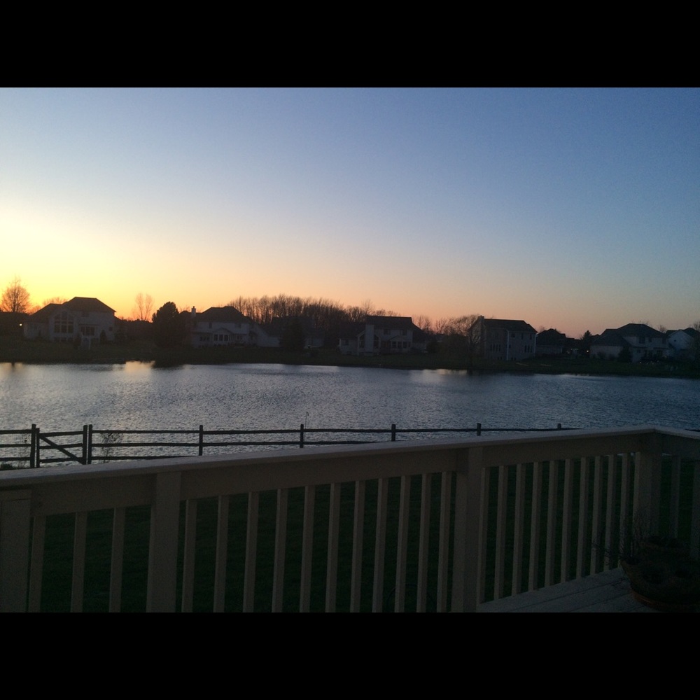 Meet your Posher, Grace